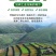 2026年甘肃兰州鲜百合产地直发农民自挖