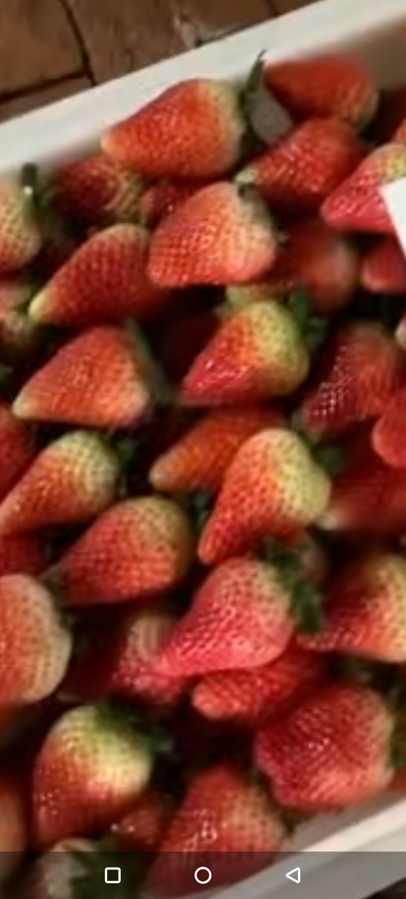 阜阳市闻集奶油草莓大量上市