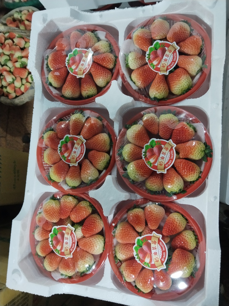 阜阳市闻集奶油草莓大量上市