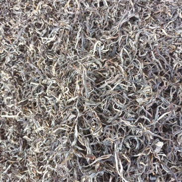 云南大叶普洱茶生茶