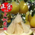 江永精品老树柚子