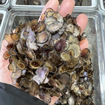 全腊片小片，泡茶，煲汤，含服，经济实惠款