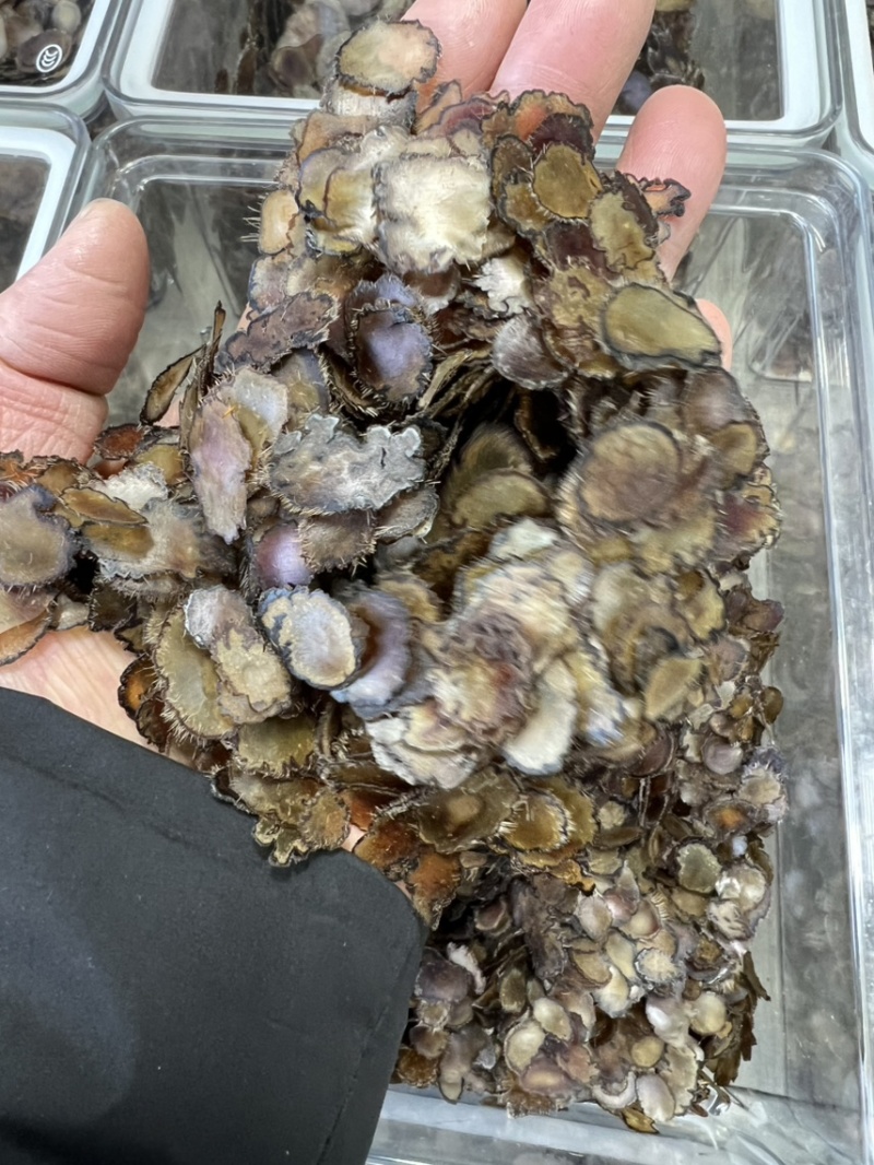全腊片小片，泡茶，煲汤，含服，经济实惠款