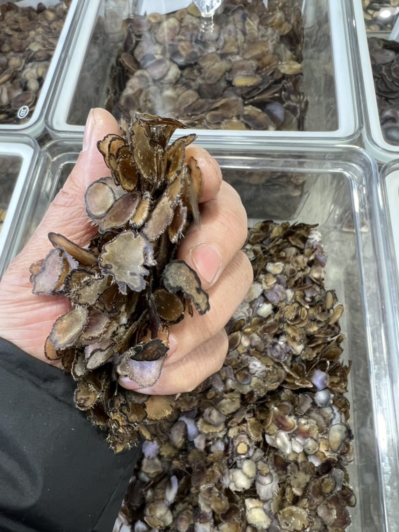 全腊片小片，泡茶，煲汤，含服，经济实惠款