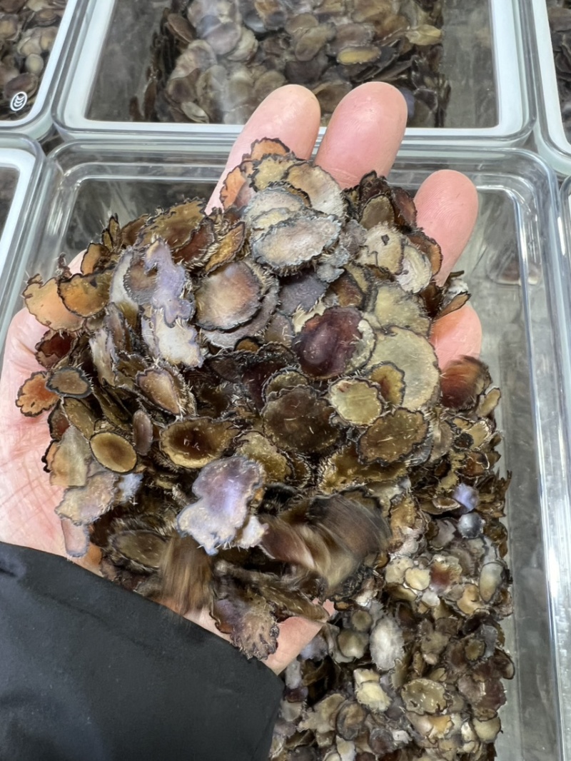 全腊片小片，泡茶，煲汤，含服，经济实惠款