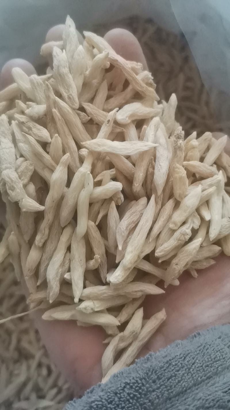 乘法麦冬优质麦冬自然晒干天然无害道地药材规格齐全