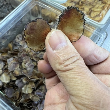 鹿茸全腊片，泡酒，煲汤，怕冷怕寒，记忆力不好，经济实惠款