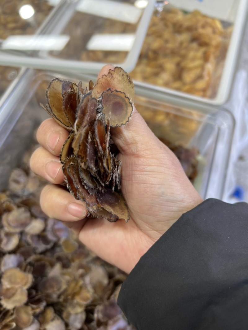 鹿茸全腊片，泡酒，煲汤，怕冷怕寒，记忆力不好，经济实惠款