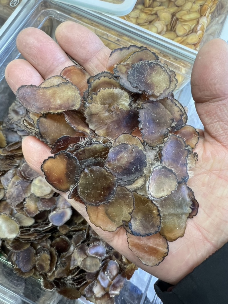鹿茸全腊片，泡酒，煲汤，怕冷怕寒，记忆力不好，经济实惠款
