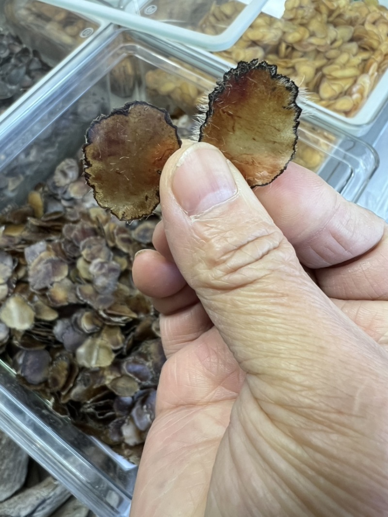 鹿茸全腊片，泡酒，煲汤，怕冷怕寒，记忆力不好，经济实惠款