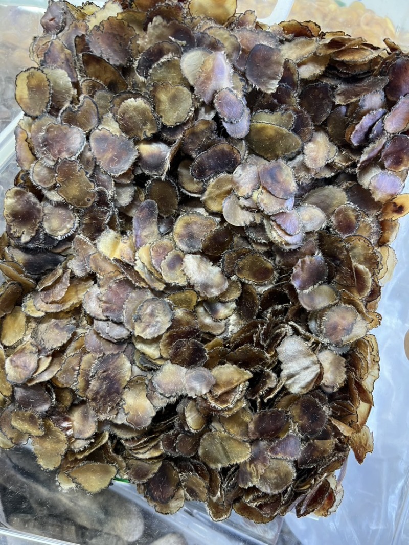 鹿茸全腊片，泡酒，煲汤，怕冷怕寒，记忆力不好，经济实惠款