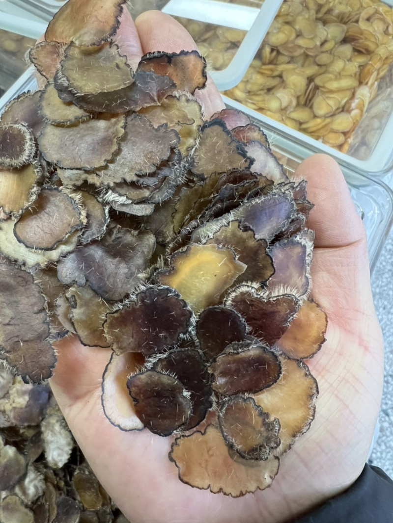 鹿茸全腊片，泡酒，煲汤，怕冷怕寒，记忆力不好，经济实惠款