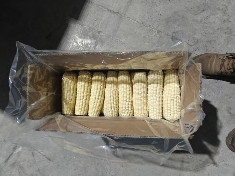 兢农速冻玉米棒