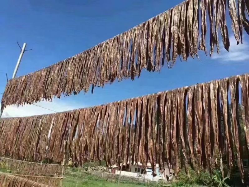 河源黑豆腐竹和平黑豆腐竹纯手工黑豆腐竹***