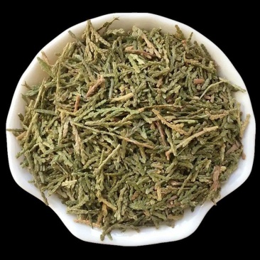 农副产品中药材侧柏叶实物拍摄如假包换量大从优