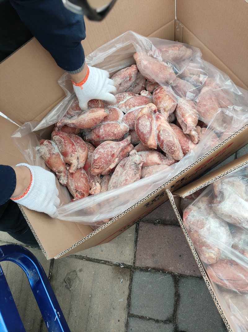 精品牛宝