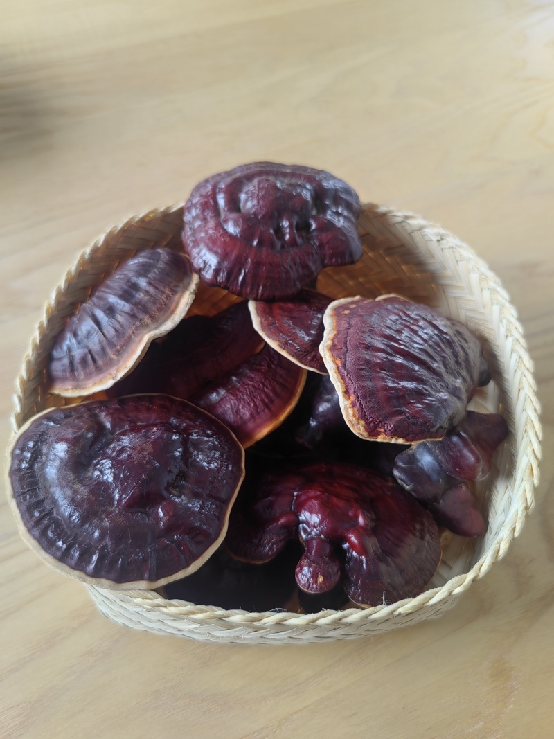 白肉灵芝(云南高原特色灵芝)，肉质细腻且白润，无污染