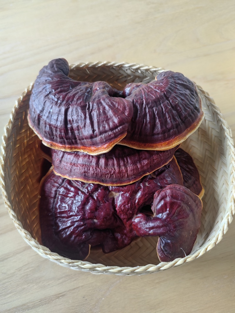 白肉灵芝(云南高原特色灵芝)，肉质细腻且白润，无污染