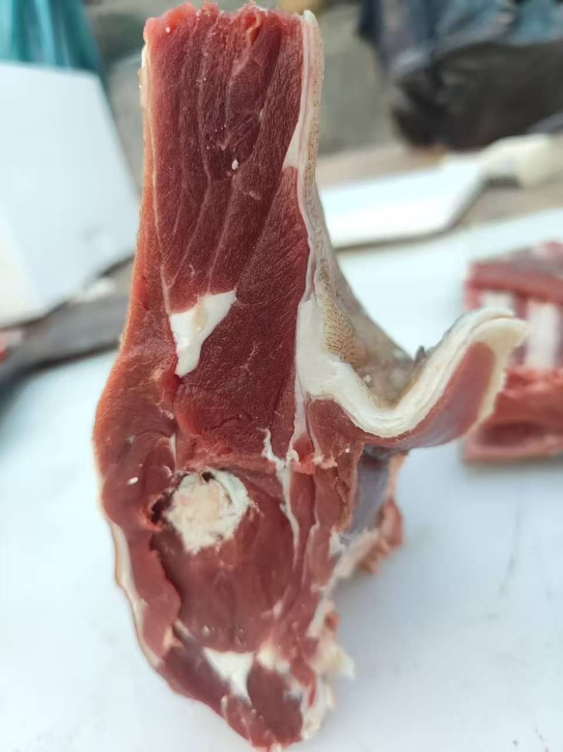 大别山黑山羊厂家直供优质饲料喂养规模化养殖