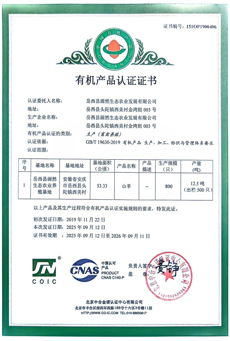 大别山黑山羊厂家直供优质饲料喂养规模化养殖