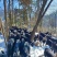 大别山黑山羊厂家直供优质饲料喂养规模化养殖