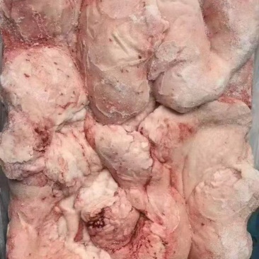 羊尾油