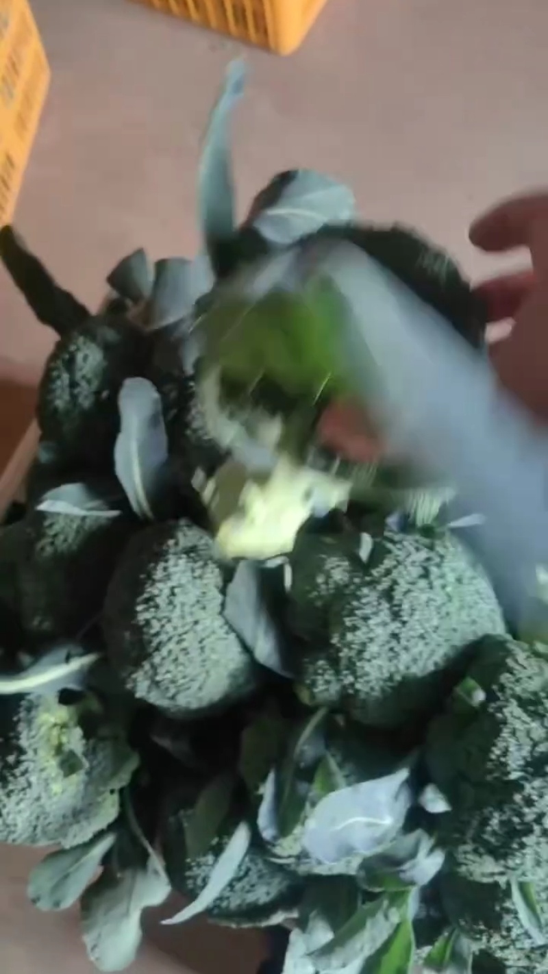 散花西兰花，大量接单产地直发量大从优欢迎来电