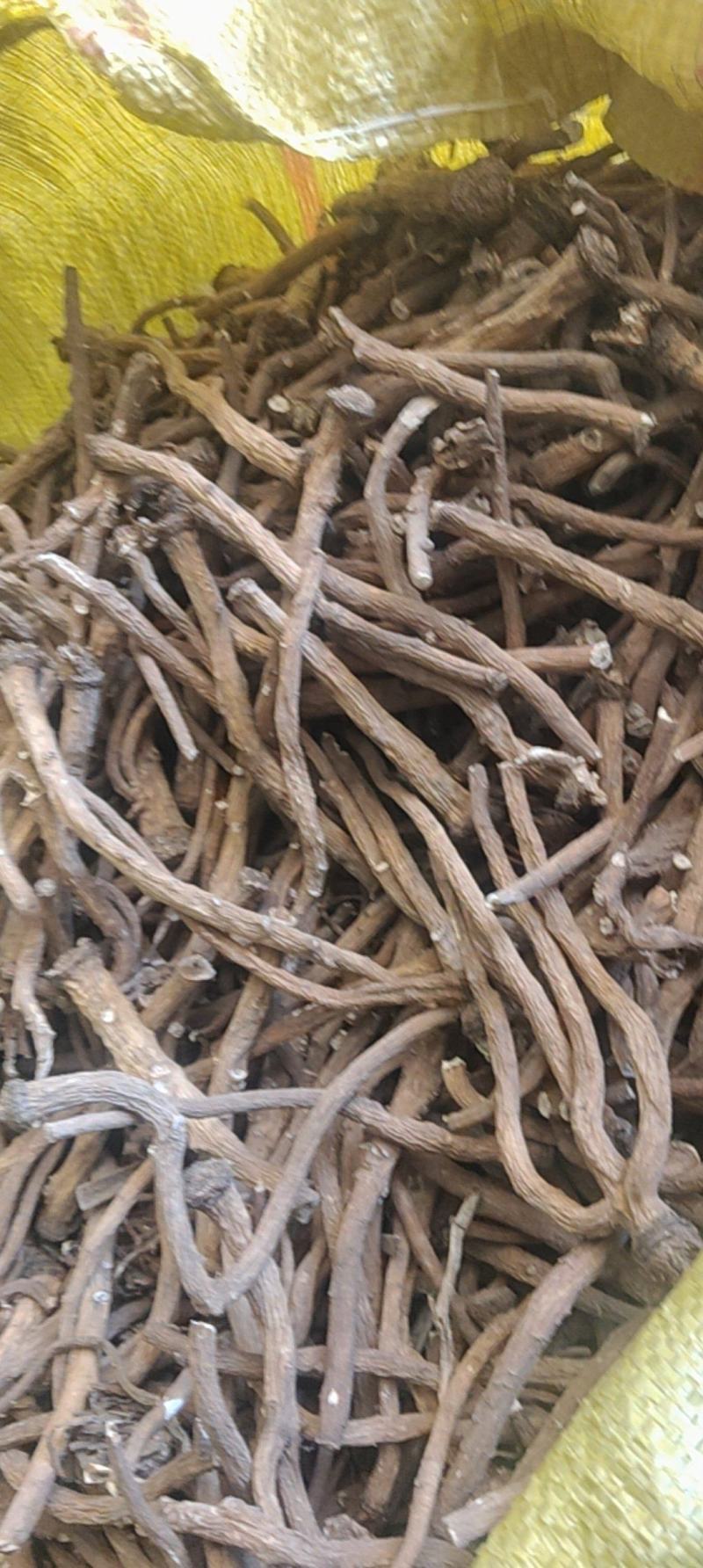 蒲公英根，炒茶专用，