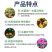 10%联苯噻虫胺小麦蚜虫蔬菜果树高效杀虫剂虫卵双杀持效期