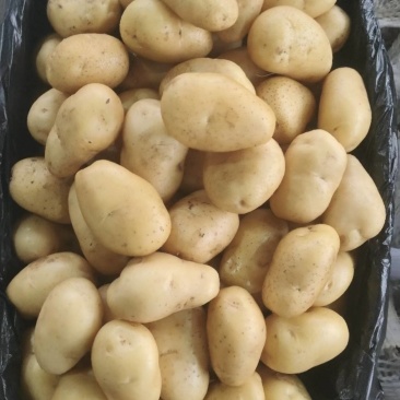 水冼中号有货