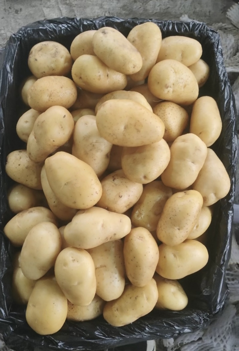 水冼中号有货