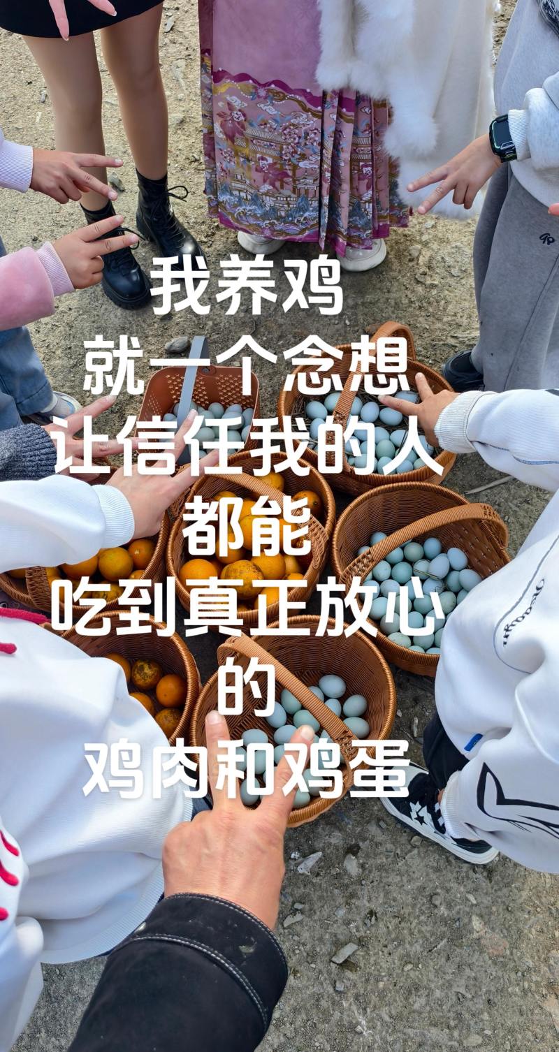 贵州省生态散养土鸡蛋2块一个