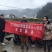 贵州省生态散养土鸡蛋2块一个