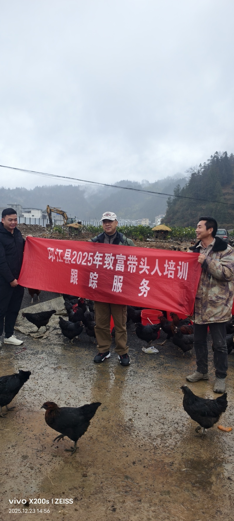 贵州省生态散养土鸡蛋2块一个