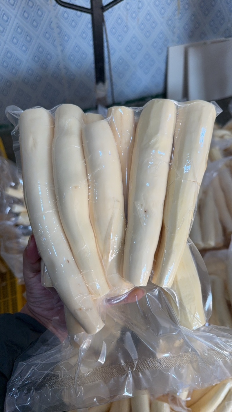 广西黄肉木薯，华南九号