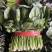 四川精品菠菜，无限量供应