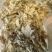 野生艾叶手选艾叶头茬端午节前后采摘3年陈艾叶大艾叶