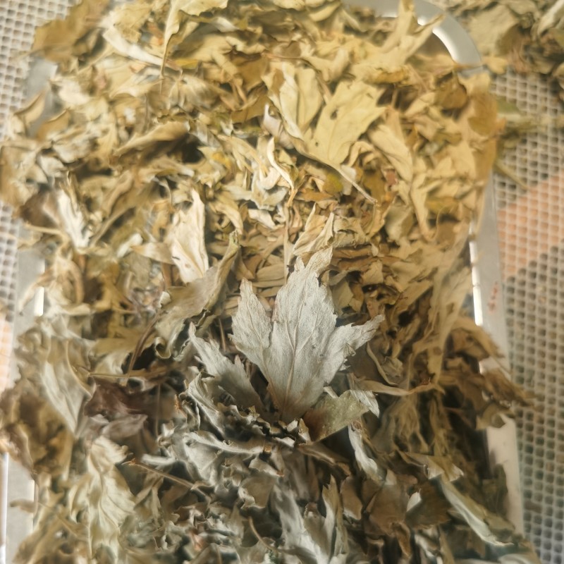 野生艾叶手选艾叶头茬端午节前后采摘3年陈艾叶大艾叶