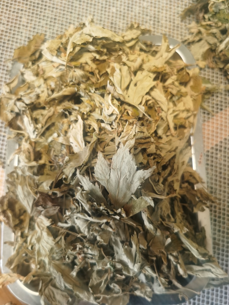 野生艾叶手选艾叶头茬端午节前后采摘3年陈艾叶大艾叶