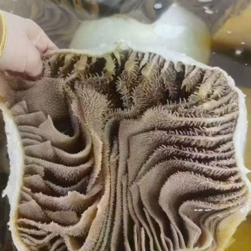 袋装黑整肚一件10包净重3斤一包