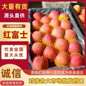 【红富士苹果】山东原产地/条红片红/常年批发/全国发货