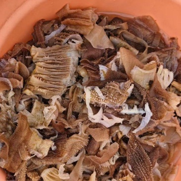 精品头子
