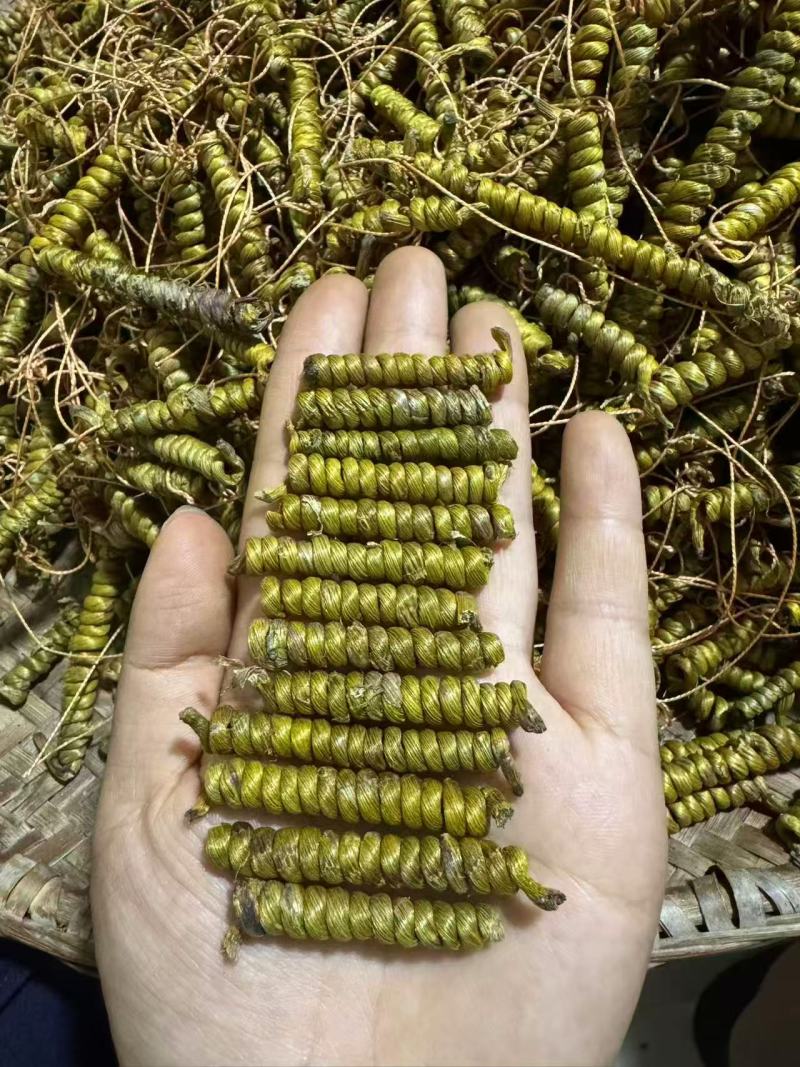 正宗霍山铁皮石斛枫斗产地直发，量大价优，欢迎随时联系看货