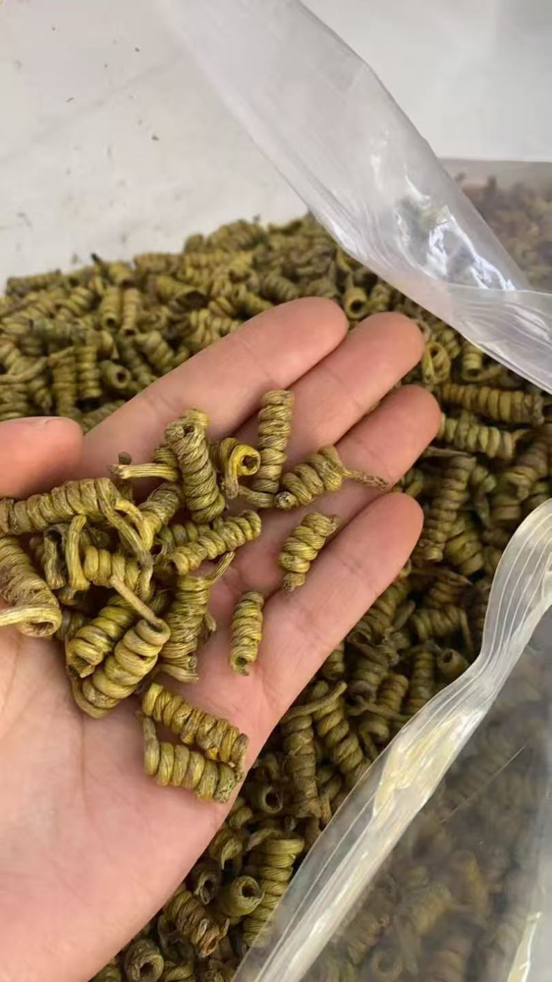 正宗霍山铁皮石斛枫斗产地直发，量大价优，欢迎随时联系看货