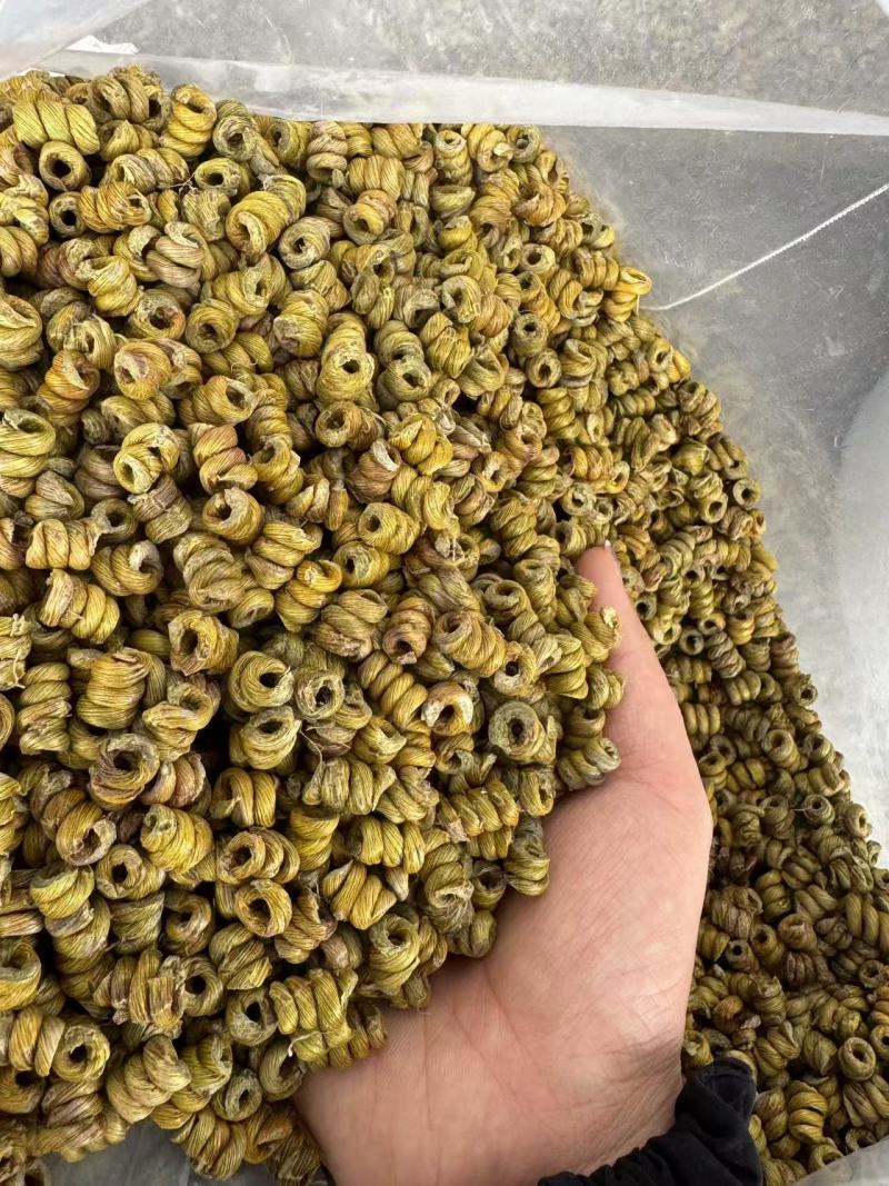 正宗霍山铁皮石斛枫斗产地直发，量大价优，欢迎随时联系看货