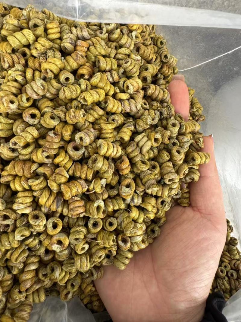正宗霍山铁皮石斛枫斗产地直发，量大价优，欢迎随时联系看货