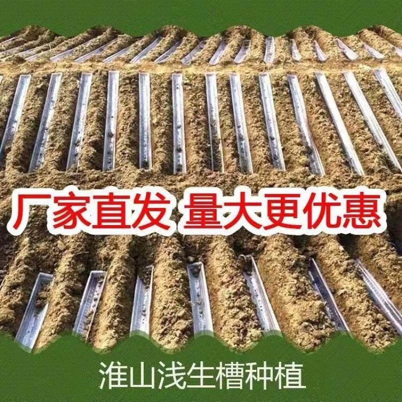可重复使用u型槽山药淮山种植定向定形模具浅生槽紫山药