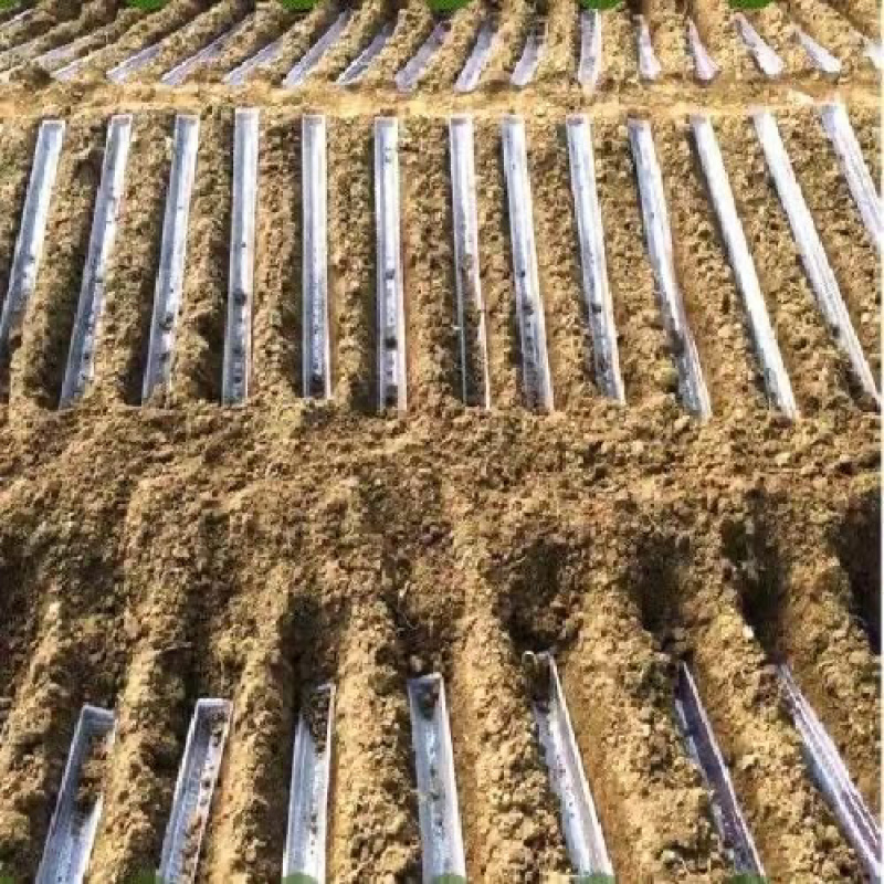 可重复使用u型槽山药淮山种植定向定形模具浅生槽紫山药