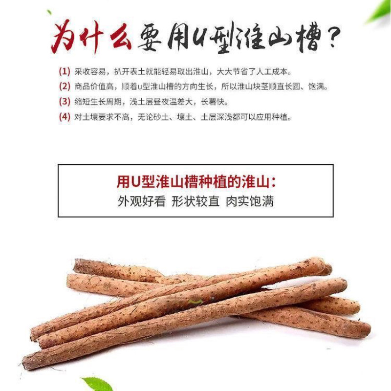 可重复使用u型槽山药淮山种植定向定形模具浅生槽紫山药