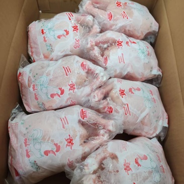 10公斤5，6，7只大西装鸡，5吨左右